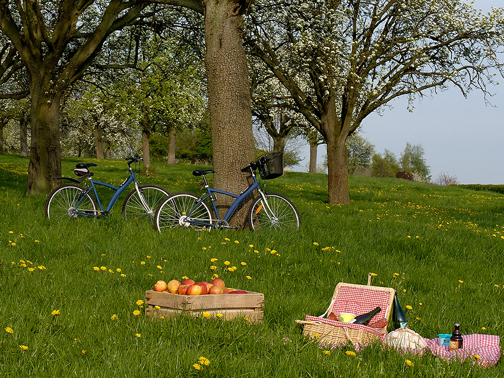 Foto: OFFICE DU TOURISME DU PAYS D'AUBEL